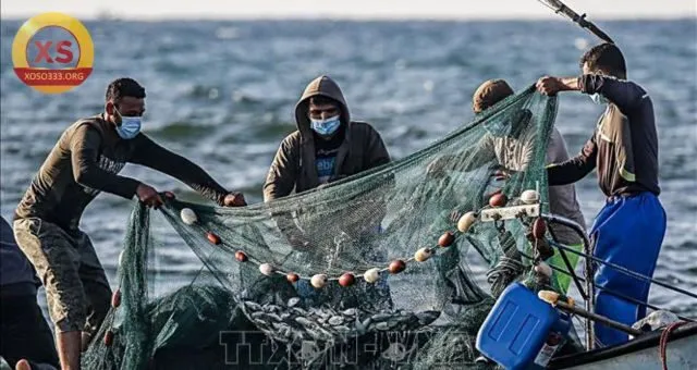 Mơ đánh bắt cá nói chung mang nhiều ý nghĩa và con số may mắn khác nhau.